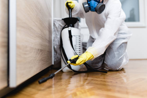 Best Residential Pest Control  in Grand Rapids, MI