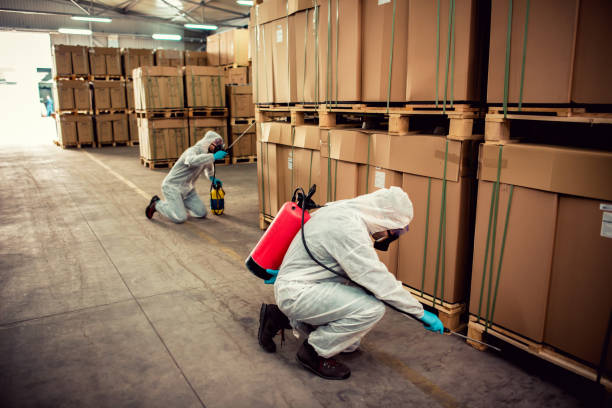 Reliable Grand Rapids, MI Pest Control Solutions