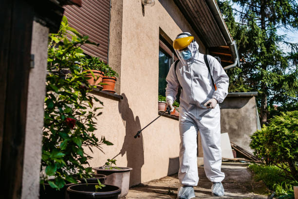 Best Mosquito Control Services  in Grand Rapids, MI
