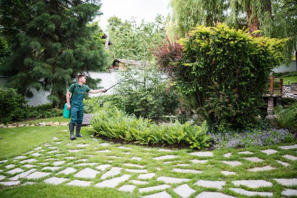 Best Pest Control Cost  in Grand Rapids, MI