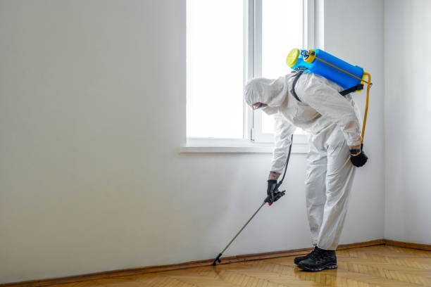 Best Pest Control Near Me  in Grand Rapids, MI