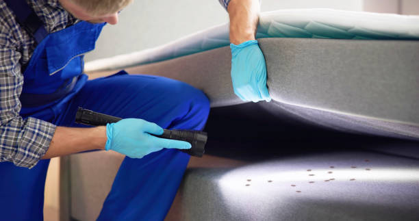 Best Flea Control Services  in Grand Rapids, MI