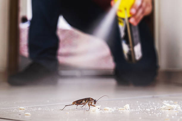 Best Termite Control Services  in Grand Rapids, MI