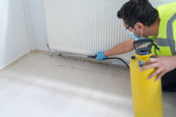 Best Pest Prevention Services  in Grand Rapids, MI